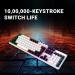 Ant Esports MK1700 Membrane Gaming Keyboard