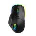 Adata XPG ALPHA RGB Ergonomic Gaming Mouse (16000 DPI, Omron Switches, RGB Lightning, 1000Hz Polling Rate)