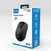 EVM Classy 3W042 Wireless Mouse (Black)