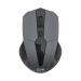 EVM EVO 3W042 Wireless Mouse (Grey)