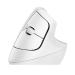 Logitech Lift Vertical Wireless Mouse (Off White)