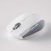 Razer Pro Click Mini Wireless Mouse (Mouse)