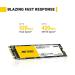 Ant Esports 690 Neo Pro 256GB M.2 Internal SSD