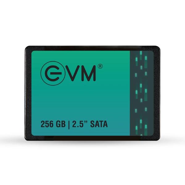 EVM 256GB Internal SSD